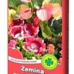 Zeminy pre izbové rastliny 10l