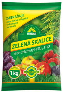 Skalice zelená - 1 kg