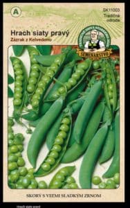 Hrach siaty pravý Zázrak z Kelvedonu