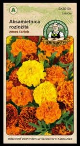 Aksamietnica rozložitá ODRODA: ZMES FARIEB LAT. NÁZOV: TAGETES PATULA