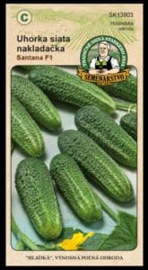 Uhorka siata nakladačka ODRODA: SANTANA F1 LAT. NÁZOV: CUCCUMIS SATIVUS