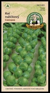 Kel ružičkový ODRODA: CASIOPEA LAT. NÁZOV: BRASSICA OLERACEA VAR. GEMMIFERA