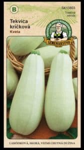 Tekvica kríčková ODRODA: KVETA LAT. NÁZOV: CUCURBITA PEPO