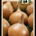 Cibuľa kuchynská ODRODA: VŠETANA LAT. NÁZOV: ALLIUM CEPA