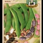 Fazuľa záhradná tyčová ODRODA: STRAKATÁ LAT. NÁZOV: PHASEOLUS VULGARIS