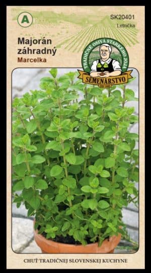 Majorán záhradný ODRODA: MARCELKA LAT. NÁZOV: ORIGANUM MAJORANA
