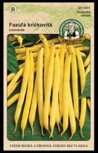 Fazuľa záhradná kríčkovitá ODRODA: LEONARDA LAT. NÁZOV: PHASEOLUS VULGARIS