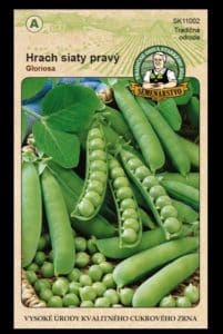 Hrach siaty pravý ODRODA: GLORIOSA LAT. NÁZOV: PISUM SATIVUM