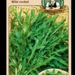 Rukola úzkolistá ODRODA: WILD ROCKET LAT. NÁZOV: DIPLOTAXIS TENUIFOLIA