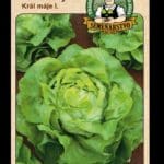 Šalát siaty ODRODA: KRÁL MÁJE I. LAT. NÁZOV: LACTUCA SATIVA VAR.CAPITATA