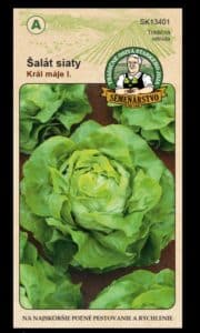 Šalát siaty ODRODA: KRÁL MÁJE I. LAT. NÁZOV: LACTUCA SATIVA VAR.CAPITATA