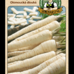 Petržlen záhradný – koreňový ODRODA: OLOMOUCKÁ DLOUHÁ LAT. NÁZOV: PETROSELINUM CRISPUM CONVAR. RADICOSUM