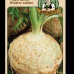 Zeler buľvový ODRODA: PRAGER RIESEN (PRAŽSKÝ VELIKÁN) LAT. NÁZOV: APIUM GRAVEOLENS