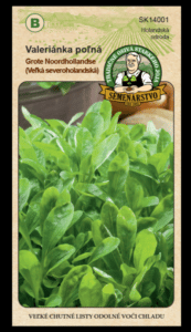 Valeriánka poľná ODRODA: GROTE NOORDHOLLANDSE "SEVEROHOLANDKÁ VEĽKÁ" LAT. NÁZOV: VALERIANELLA LOCUSTA