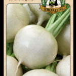 Okrúhlica (Vodnica) ODRODA: SNOWBALL (SNEHOVÁ GUĽA) LAT. NÁZOV: BRASSICA RAPA