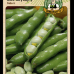 Bôb obyčajný ODRODA: SATURN LAT. NÁZOV: VICIA FABA