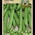 Hrach siaty ODRODA: ALDERMAN LAT. NÁZOV: PISUM SATIVUM