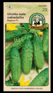 Uhorka siata nakladačka ODRODA: REGINA F1 LAT. NÁZOV: CUCCUMIS SATIVUS