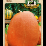 Tekvica obrovská ODRODA: GOLIÁŠ LAT. NÁZOV: CUCURBITA MAXIMA DUCHESNE