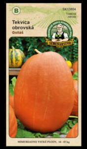 Tekvica obrovská ODRODA: GOLIÁŠ LAT. NÁZOV: CUCURBITA MAXIMA DUCHESNE