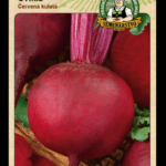 Cvikla ODRODA: ČERVENÁ KULATÁ LAT. NÁZOV: BETA VULGARIS