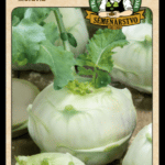 Kaleráb ODRODA: MORÁVIA LAT. NÁZOV: BRASSICA OLERACEA VAR.GONGYLODES