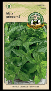 Mäta prieporná LAT. NÁZOV: MENTHA PIPERITA