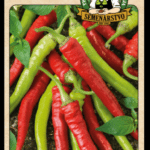 Paprika ročná ODRODA: BARKOL LAT. NÁZOV: CAPSICUM ANNUUM