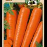 Mrkva obyčajná ODRODA: RUBÍNA LAT. NÁZOV: DAUCUS CAROTA