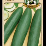 Uhorka siata šalátová ODRODA: LINDA F1 LAT. NÁZOV: CUCCUMIS SATIVUS