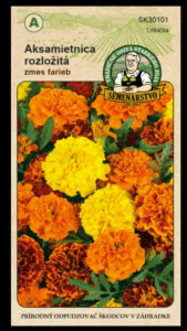 Aksamietnica rozložitá ODRODA: ZMES FARIEB LAT. NÁZOV: TAGETES PATULA