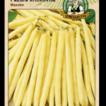Fazuľa záhradná kríčkovitá ODRODA: MAXIDOR LAT. NÁZOV: PHASEOLUS VULGARIS