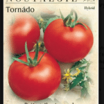 Rajčiak kolíkový Tornádo F1 50s