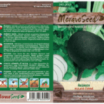 Reďkovka GUĽATÁ ČIERNA Moravo