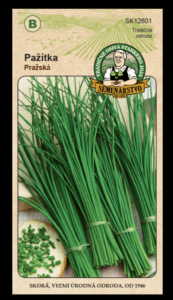 Pažítka ODRODA: PRAŽSKÁ LAT. NÁZOV: ALLIUM SCHOENOPRASUM