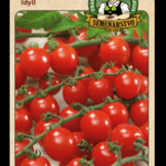 Rajčiak jedlý ODRODA: IDYLL LAT. NÁZOV: LYCOPERSICON ESCULENTUM