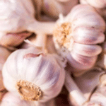 Cesnak jarný Flavor 250g