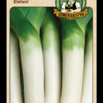 Pór pestovaný ODRODA: ELEFANT LAT. NÁZOV: ALLIUM PORRUM