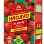 Forestina Biomin na jahody 1 KG