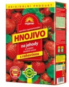 Forestina Biomin na jahody 1 KG