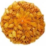 Cibuľka sadzačka Štuttgartská 0,5 kg