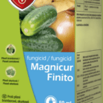 Magnicur Finito - 50 ml PG SBM