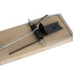 Pasca na myši drevená