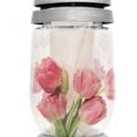 Kahanec bolsius žltý / červený tulipán 22 cm 36 hod.