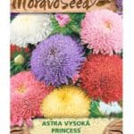 Astra vysoká Princess zmes MoravoSeed