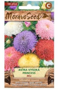 Astra vysoká Princess zmes MoravoSeed