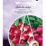 Pásik výsevný Redkovka Lada, Viola, polonéza 3x2m