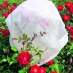 Návlek Strend Pro, 17 g, biely, ochranný, proti mrazu, netkaná textília, 130x110 cm, 3 ks