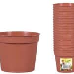 Kvetník sadbový KAKTUS d5,5cm 20ks