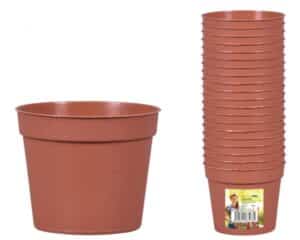 Kvetník sadbový KAKTUS d5,5cm 20ks